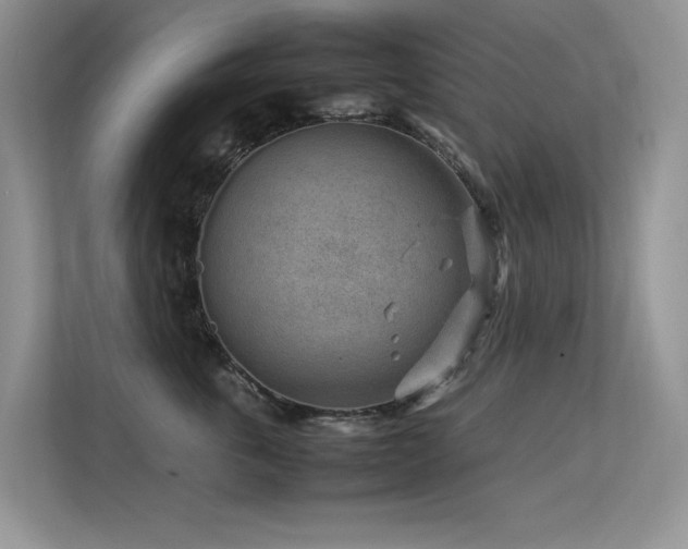X0000113370763200909151359