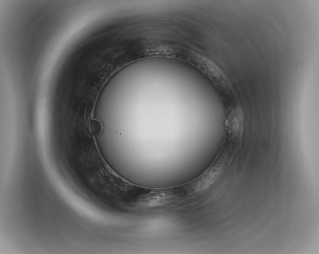 X0000113370764200909151359
