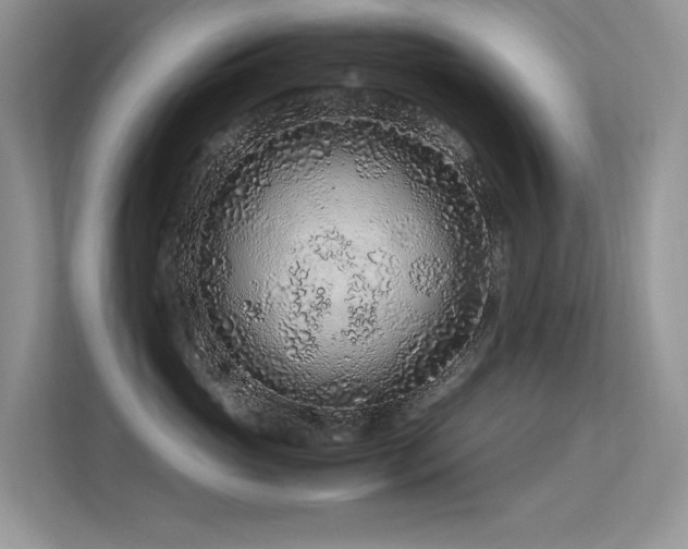 X0000113370765200909151359