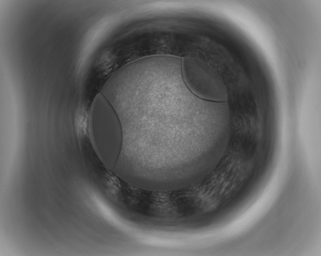 X0000113370766200909151359