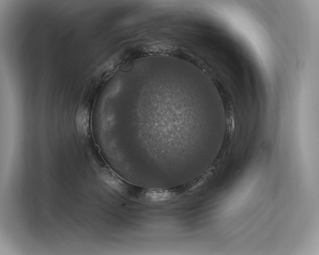 X0000113370767200909151359