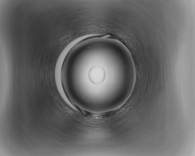 X0000113370768200909151359