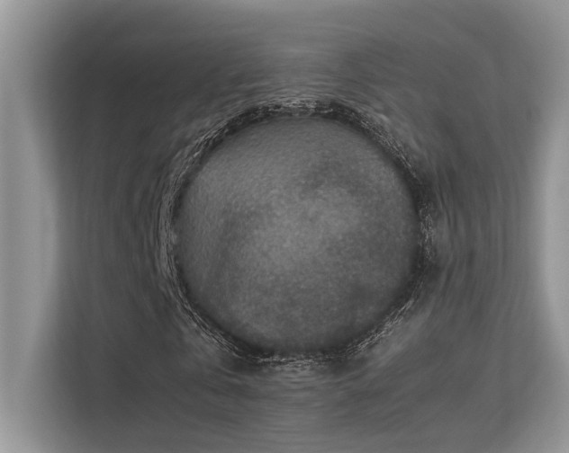 X0000113370769200909151359