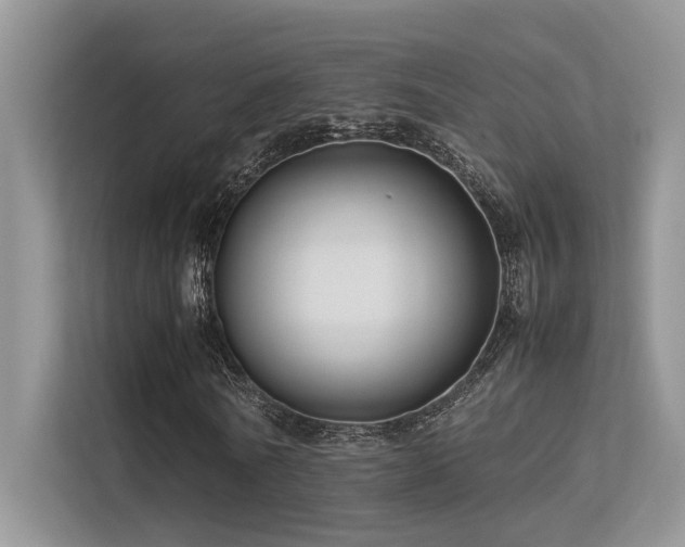 X0000113370770200909151359