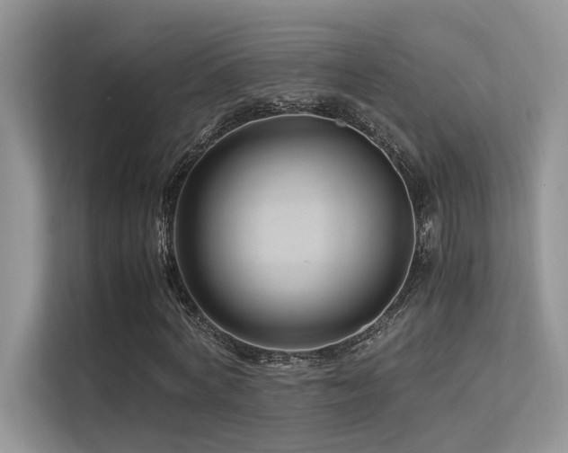X0000113370772200909151359
