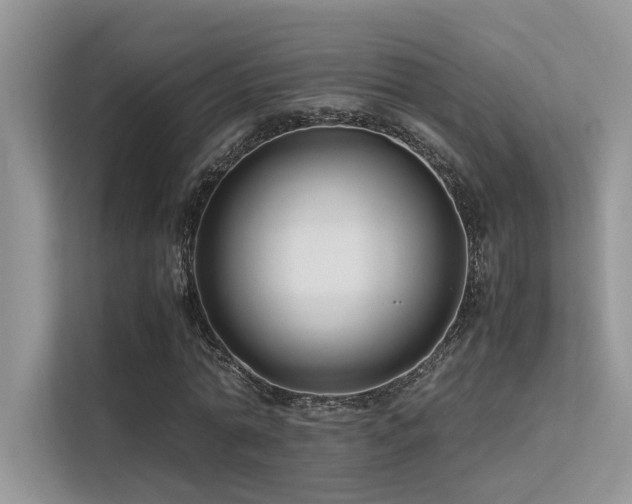 X0000113370774200909151359