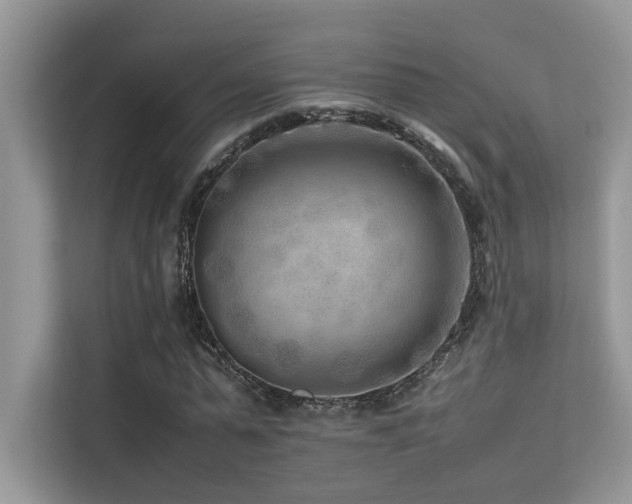 X0000113370775200909151359