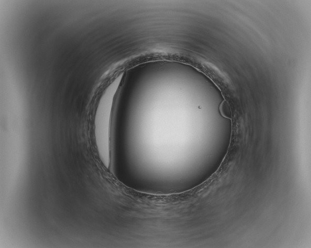 X0000113370776200909151359