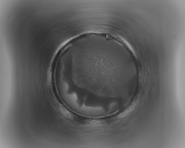 X0000113370779200909151359