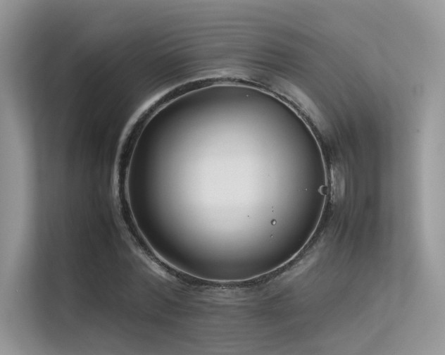 X0000113370780200909151359