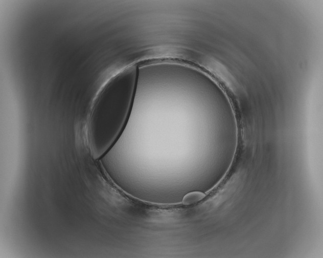 X0000113370781200909151359