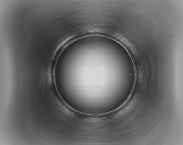 X0000113370782200909151359