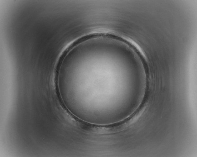 X0000113370783200909151359