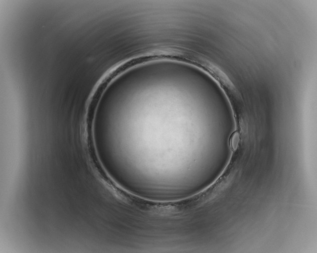 X0000113370784200909151359