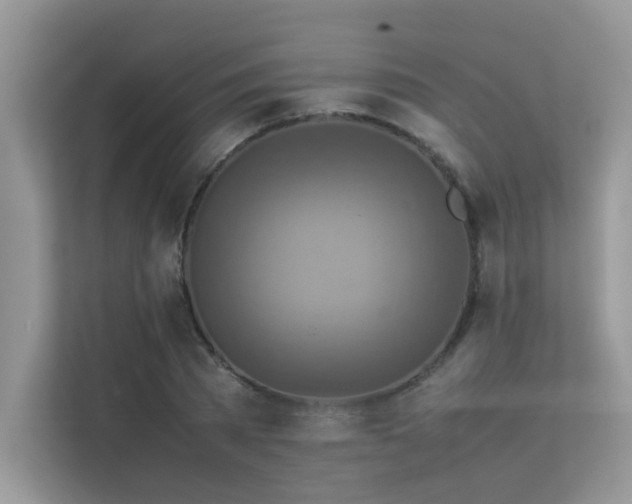 X0000113370785200909151359