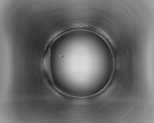 X0000113370786200909151359