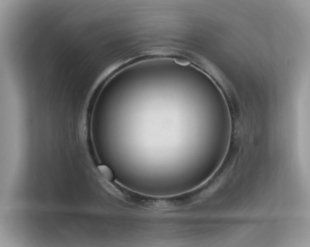 X0000113370787200909151359
