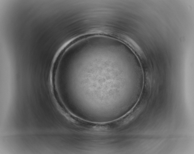 X0000113370788200909151359