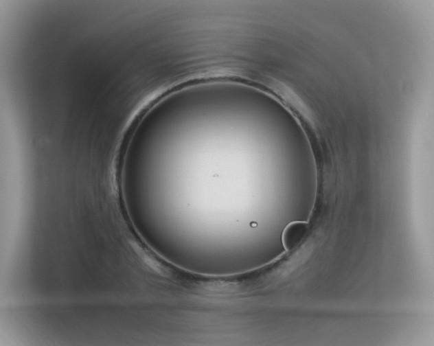 X0000113370789200909151359
