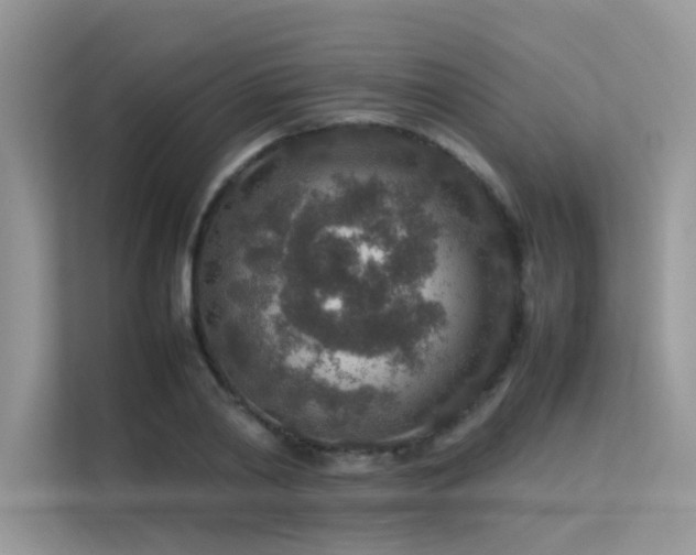 X0000113370790200909151359