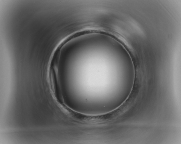 X0000113370791200909151359