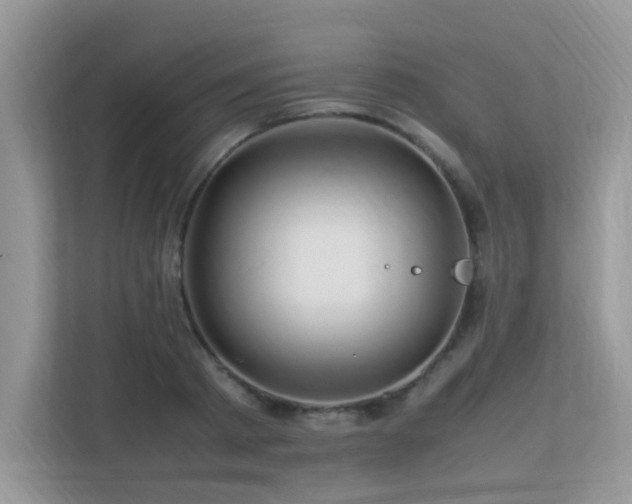X0000113370793200909151359