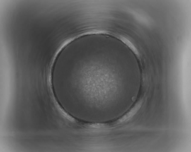 X0000113370797200909151358