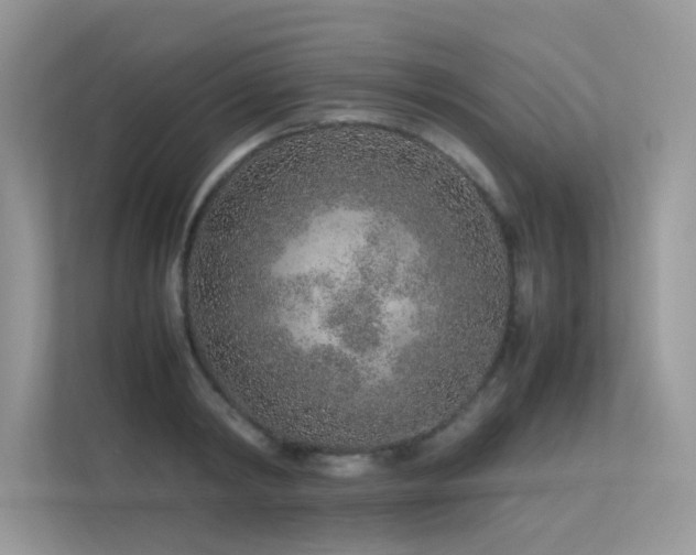 X0000113370798200909151358