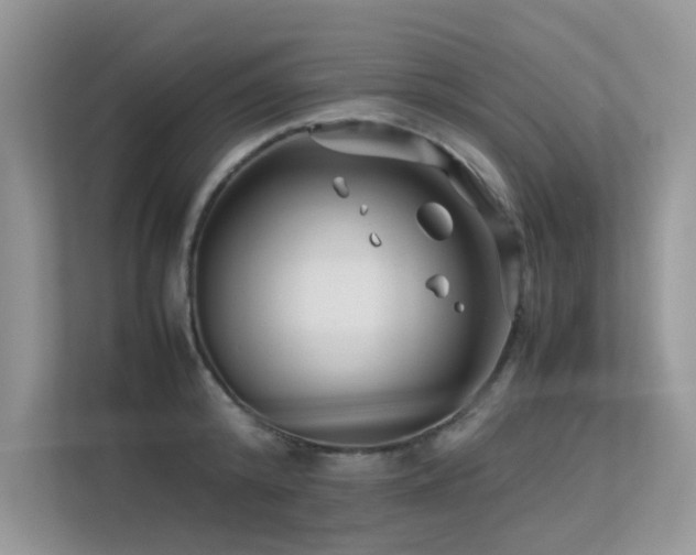 X0000113370800200909151358