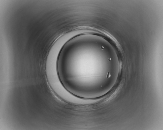 X0000113370801200909151358