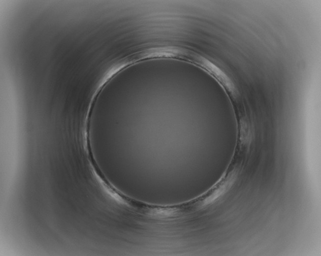 X0000113370802200909151358