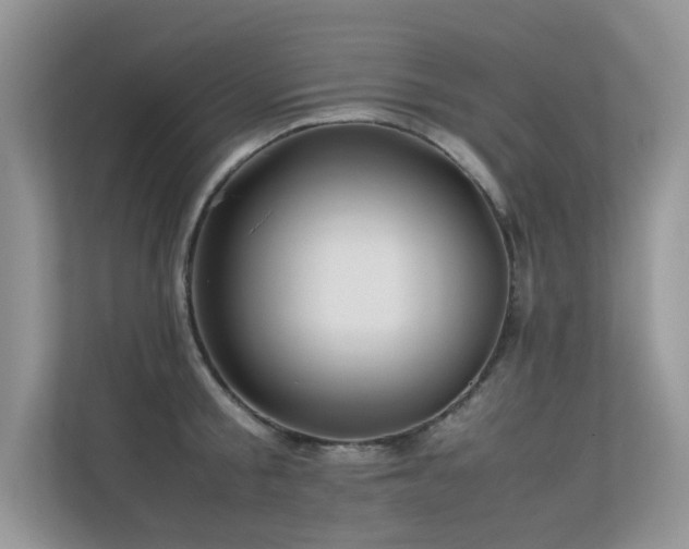 X0000113370805200909151358