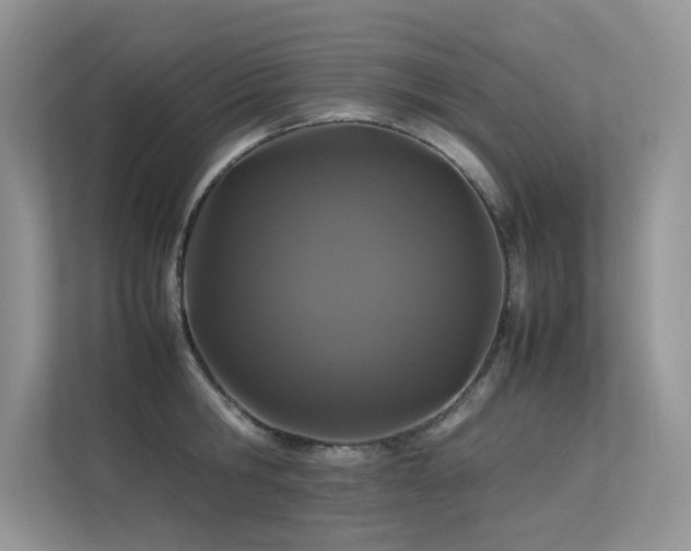 X0000113370806200909151358