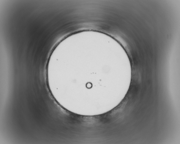 X0000113370807200909151358