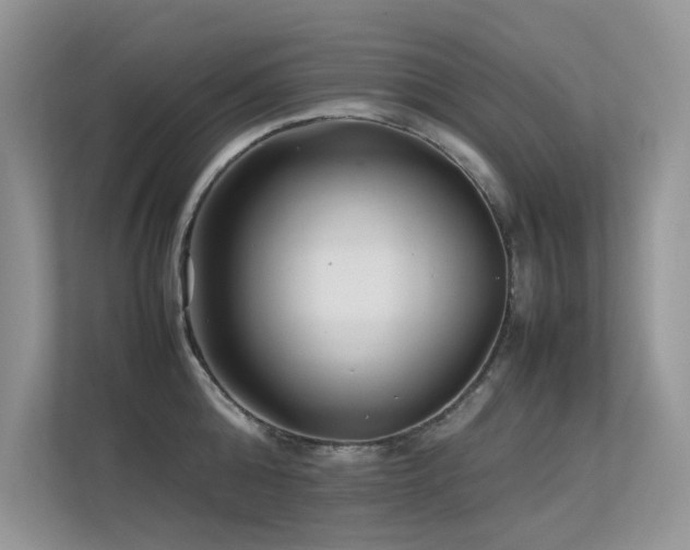 X0000113370808200909151358