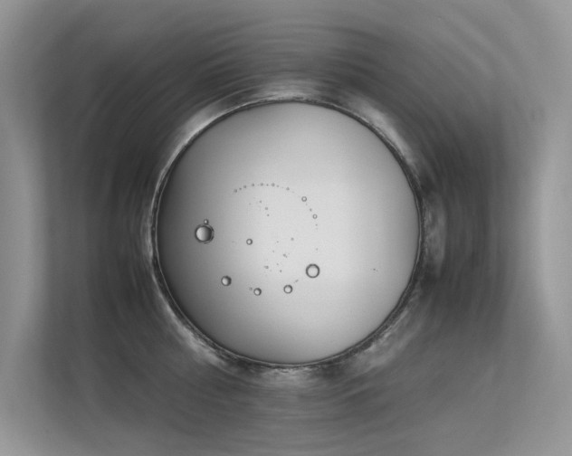 X0000113370810200909151358