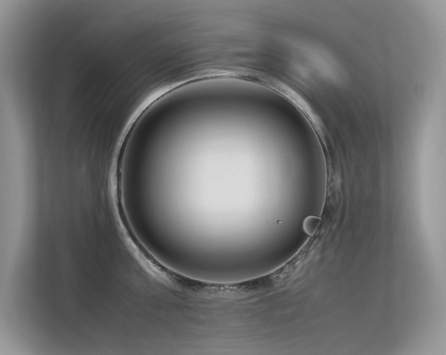 X0000113370811200909151358