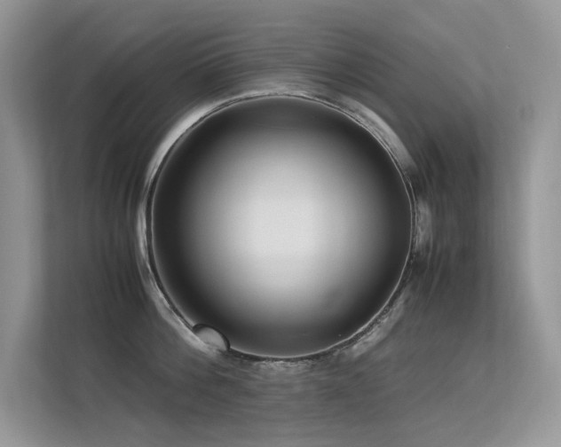 X0000113370812200909151358