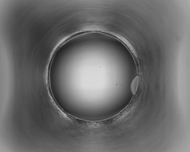 X0000113370815200909151358