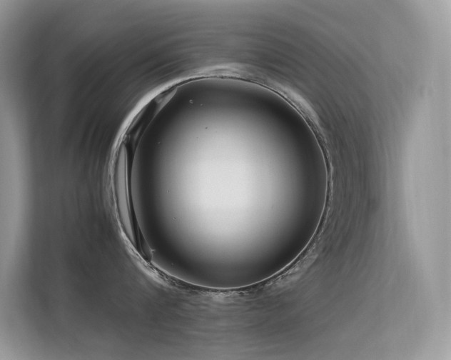 X0000113370816200909151358