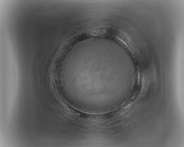 X0000113370817200909151357