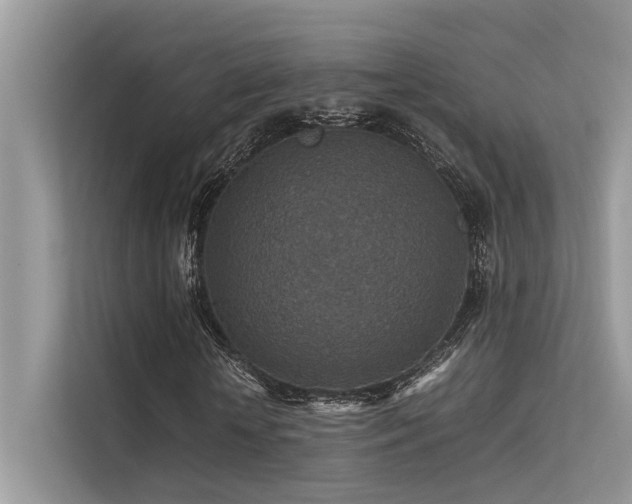 X0000113370818200909151357
