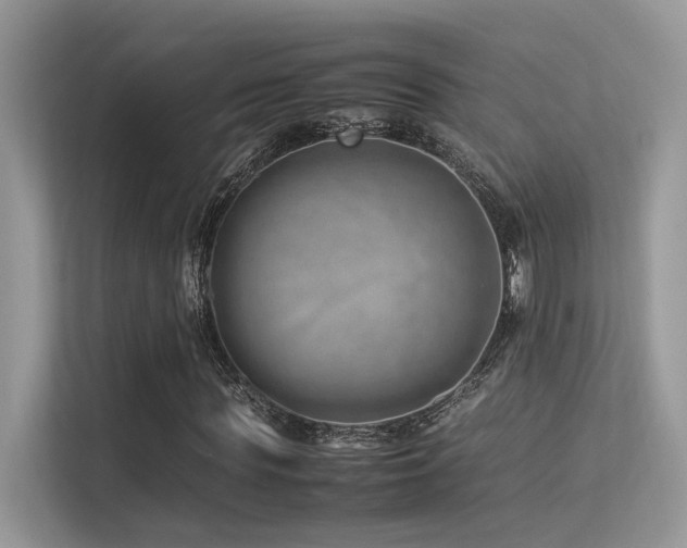 X0000113370819200909151357