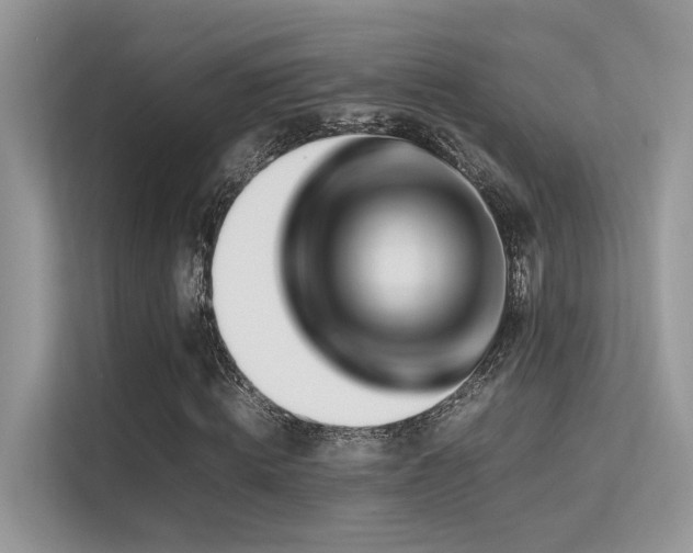 X0000113370820200909151357