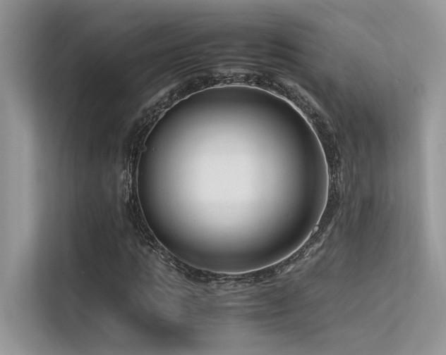 X0000113370821200909151357