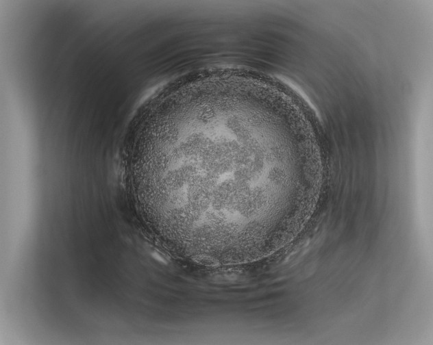 X0000113370823200909151357