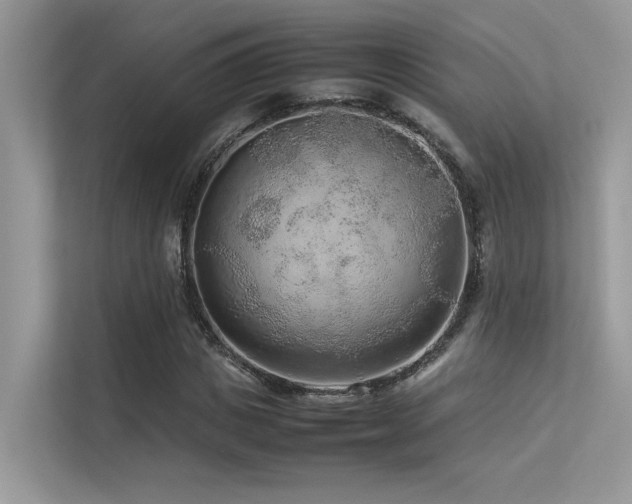 X0000113370825200909151358