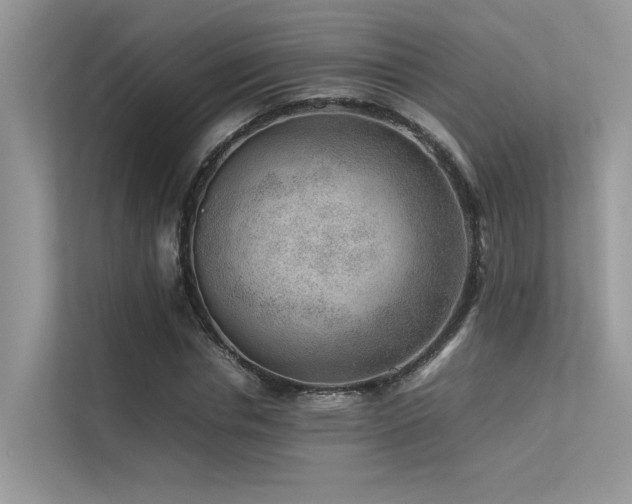 X0000113370826200909151358
