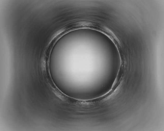 X0000113370827200909151358