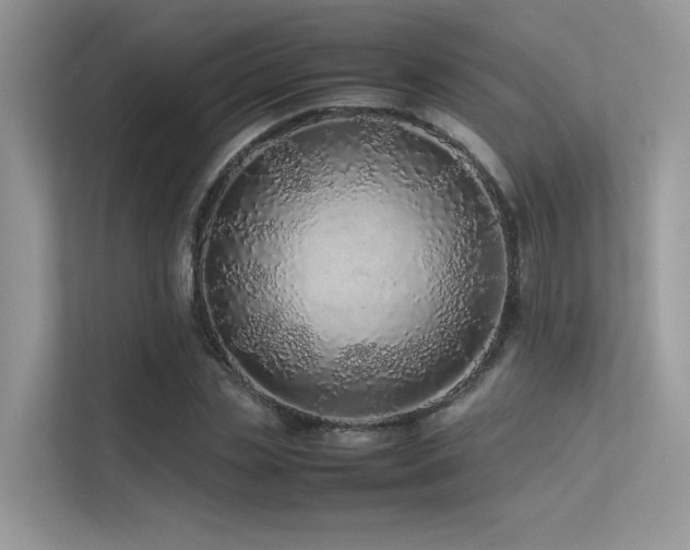 X0000113370829200909151358